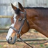Equinavia Saga Breites Reithalfter Hunter Trense mit Zügeln - Schokobraun - Warmblut