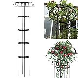 Rankgitter aus rostfreiem Metall, 165,1 cm, langlebig, Glyzinien-Regenschirm, Stützrahmen und Blumen-Obelisk für Kletterpflanzen, Outdoor-Pflanzenstütze perfekt für Gärten und Landschaftsbau