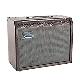 Fame AE-60 Akustik-Verstärker mit 60 Watt Leistung, 2 Kanäle für Gitarre und Gesang, Chorus, Reverb, CD-Input und globalem Equalizer