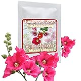 Stockrosen 50 Samen - bunte Mischung - winterhart/mehrjährig