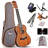Winzz Ukulele Konzert für Erwachsene und Kinder - 23 Zoll Anfänger Set Mit Ständer und Kapodaster (Mahagoni, Matt)