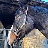 Knotenhalfter für Bodenarbeit Pferd - Knotenhalfter Cob optimal für Freiarbeit, Bodenarbeit, Führ- oder Verladetraining (Warmblut (Full), Braun-Beige)