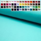 Premium Jersey Uni Stoff mit 150 cm Breite, Hochwertiger Baumwolljersey in Oeko-Tex 100, Meterware ab 25 cm Zuschnitt - ca. 60 Farben immer vorrätig (33. Aqua)
