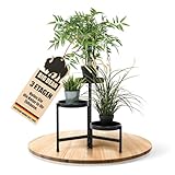 BigDean 3 Etagen Blumenständer klappbarer Pflanzenständer robuster Blumenständer Metall