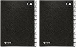 Pagna Pultordner Classic (Pultmappe, 12 Fächer, 1-12/Jan-Dez) schwarz, A - Z (Packung mit 2)