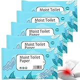 Luxuriöses, einzeln verpacktes Einweg-Toilettenpapier für empfindliche Haut, 50 Stück, für Erwachsene, persönlich, spülbar, feuchte Toilettentücher, Outdoor-Reinigungstücher für Zuhause, Büro, Reisen