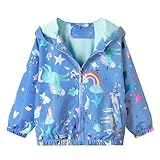 JinBei Mädchen Jacke Kinder Jacken Kapuzen Sweatjacke Kapuzenjacke Einhorn Blau Pferd Regenbogen Winddicht Mantel Windjacke Übergangsjack Frühling Herbst Outwear Softshelljacke 2-3 Jahre