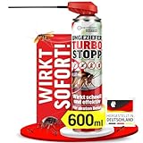 HEIMWERT Insektenspray Akut gegen Ungeziefer – Sofortige Wirkung mit Langzeitschutz gegen Ameisen, Mücken, Fliegen, Silberfische, Spinnen uvam - Spray Mittel für Wohnung + Garten 600 ml