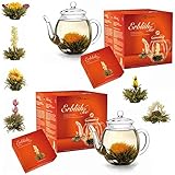 Creano 2x Teeblumen Geschenkset - Erblühtee Frühjahrslese mit 2x 500ml Glaskanne & 12x Weißer Tee - Sparpreis-Set