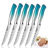 SCOLE Steakmesser 6-teilig, Steakbesteck Set für 6 Personen, Steakmesser Set