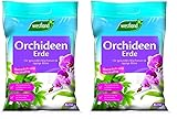 Westland Orchideen Erde, 8 l – Blumenerde für gesundes Wachstum, Pinienrinde und Tongranulat für eine ideale Wasser- und Nährstoffverteilung (Packung mit 2)