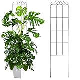 Garden Obelisk Rankhilfe,50*15cm Pflanzenstützen mit Bänder,Rosen Rankgitter Metall Rostfrei, Staudenhalter Blumenhalter Rankengewächs Pflanzenstütze Blumenstütze Staudenstütze für Topfpflanzen (01)