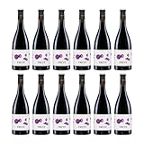 Freyé Vallformosa Syrah und Tempranillo Rotwein Rot Trocken VEGAN Spanien inkl. FeinWert E-Book (12 x 0.75 l)