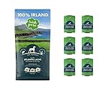 Irish Pure Adult Lachs | 1x12kg + 6x390g