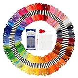 100 Farben Stickgarn Set, Embroidery Thread 6 Stränge pro Garn, jeweils 8 m Lang Strickgarn Knüpfgarn Yarn Stickgarn Baumwolle Perlgarn für Freundschaftsbänder Bracelets zum Basteln Kreuzstich