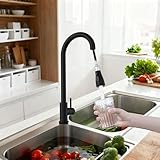 LZQ Wasserhahn Küche und Bad, Hochdruck Armatur Küche aus Edelstahl Küchenarmatur mit 360° Schwenkbar und Zwei Wasserstrahlarten, Hochwertige Waschtischarmatur Waschbecken Armaturen, Schwarz