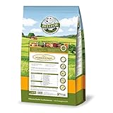 Bellfor Wildbach-Schmaus Getreidefreies Trockenfutter mit Lachs- und Forellengeschmack 2,5 kg - ideal für mittelgroße Hunderassen