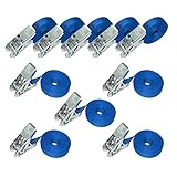 Amazon Basics Spanngurte mit Ratschenschloss, 6 m lang, 25 mm breit, Belastbarkeit 800 kg, entspricht DIN EN 12195-2, 10 Stück, Blau