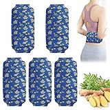 5 Stück Wärmepflaster, Taillen Wärmepads für 5 Stunden, Wärmegürtel mit Stretch/Klett, Körperwärmer Einweg Rein Natürlich, Extra Warmes Heatpad für Outdoor-Aktivitäten