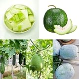 Wachskürbis topfpflanzen balkon dekopflanzen wintergemüse kräutersamen dachbegrünung gemüsesamen winterharte für garten, kräuterpflanzen 100samen