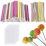 Cake Pop Stiele Cakepopstiel Kuchen Am Stiel Wiederverwendbar 300 Stück Cakepops Cake Pop Set 100 Stücke Cakepop Stiel mit 100 Stücke Cake Pop Tüten 100 Twist Ties Lollistiele für Cake Pops Sticks