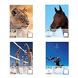 Herlitz Zeichenblock A3 mit 25 Blatt, 5 Stück mit 4 sortierten Motiven