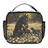 Isolierte Lunchbox, schwarzes Pferd, liegend in Gänseblümchen, wiederverwendbare Lunchtasche für Büro, Arbeit, Picknick