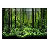 HUDFVIOI Aquarium rückwand Aquarium Hintergrund Poster 3D PVC Kleber Aufkleber Unterwasser Welt Ozean Meer Pflanzen zur Dekoration(D,41x61cm)