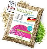 halmland® Rasensamen Schattenrasen schnellkeimend 1kg für 40m² - Premiumrasen für Schattenbereiche - Grassamen trockenresistent Frühjahr - made in Germany - Schattenrasensamen