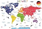 DECOWALL SG2-2301DE Weltkarte Wandaufkleber Kinder Kinderzimmer Wandtattoo Wohnkultur Kunst Reise Jungenzimmer Baby 3D Holz Internationales Farbposter Kinderzimmer