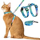 Katzengeschirr-Set, Brustgeschirr-Set, verstellbar, Katzengeschirr und Leine, Kätzchengeschirr, Anti-Ausbruch-Katzengeschirr, einfach zu bedienen, Leine, geeignet für Katzen, sicher, einfach zu