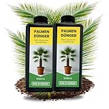 2x 1L Natürlicher Hanfpalmendünger 2L Hanfpalme Dünger Palmendünger 2 Liter Flüssigdünger für drinen und draußen Außen Pflanzendünger Pflanzenstärkungsmittel Blatt- & Wurzeldünger organisch 2000ml