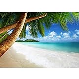 Runa Art Fototapete Strand und Meer Palmen 352 x 250 cm Vlies Tapeten XXL Moderne Wandtapete Wohnzimmer Schlafzimmer Grün Blau 9004011b