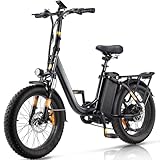 Finbike E Bike mit 48V 15.6Ah Abnehmbare Akku,20 * 3.0 Zoll Fette Reifen All-Terrain Elektrofahrräder,7-Gang Getriebe mit LCD-Display,PAS-Modus Max Reichweite 120KM,Pedelec Herren Damen 25km/h 250W