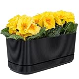 KONZEPT Blumenkasten für Balkon mit Untersetzer – 3L Balkonkasten aus wetterfestem Kunststoff, ideal für Fensterbank, Garten, Innen- & Außenbereich (1, Black)