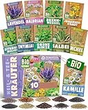 ZenGreens® - Bio Heil- und Teekräutersamen im 10er Set - 10 Heil- und Tee Kräuter Samen für den einfachen Anbau im Garten, Balkon oder Hochbeet - Pflanzensamen - Saatgut