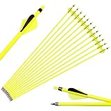SHARROW 12 Stück Carbonpfeile 30 Zoll Jagdpfeile Pfeile für Bogen Bogenpfeile 500 Spine mit 100 Grains Pfeilspitze für Recurve Bogen und Compoundbögen (Pfeile)