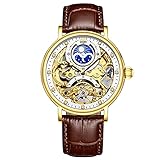 HFWXYSA Herren-Armbanduhr, wasserdicht, mechanisch, Lederarmband, Skelett, automatische Uhrenbewegung, klassische Armbanduhr, Braun