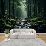 PaxGloz Fototapete Wald Bach Tapete Mooswald Tapeten Vliestapete Modern Wandtapete Wohnzimmer Schlafzimmer Kinderzimmer Wanddeko Motivtapeten 368 x 254 cm (B x H)