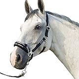 ESKADRON CONTROL Halfter inkl. Führkette -schwarz-, schwarz, Pony groß