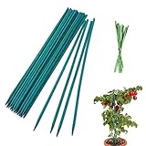 TSKDKIT 25 STK Pflanzenstäbe 30cm Pflanzenstützen Rankstäbe Mit 50 Pflanzenbindern, Grüne Pflanzstäbe Tomatenstäbe Grün für Haus Garten Kletterpflanze Erweiterung der Pflanzenstütze