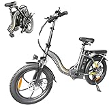 E20 Elektro-Faltrad, 20 x 3,0 Zoll (50,8 x 7,0 cm) für Erwachsene, Damen, Herren, abnehmbarer Akku, 36 V 13 Ah, Motor 250 W, 25 km/h, City Commuter E-Bike, 7 Geschwindigkeiten, doppelte Scheibenbremse