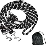 TAVADA Hundeleine Große Hunde, Hundeleine 3m Verstellbar, Nylon Doppelleine mit 2 Karabiner, Hundeleine für große und mittelgroße Hunde, Schwarz