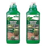 ALLFLOR Kakteendünger flüssig- und Sukkulentendünger für alle Kakteen , Aloe Vera Pflanze und dickblättrigen Pflanzen Sukkulenten I Flüssigdünger mit extra Kalium I Weiß, 2 x 500 ml