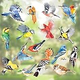 decalmile 17 Stücke Fensterbilder Frühling Vögel Fensteraufkleber Bunt Vögel Kolibri Sommer Fenster Abziehbilder Vogelschutz Anti-Kollision Fensterfolie Fenstersticker Glas Fensterdeko Aufkleber