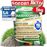 DÜNGEMEISTER Rasendünger für Ihren sattgrünsten Traumrasen - gesunder, dichter und sattgrüner Rasen sofort mit revolutionärer KI Formel - Langzeit NPK/Organisch Frühjahr/Sommer (5 kg)