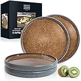 Moritz & Moritz SOLID 4x Speiseteller 26 cm - Steinzeug Teller Set - Geschirr Set zum Servieren