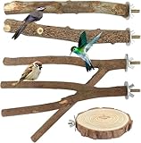Sitzstangen Vögel, 5 Stück Naturholz Vogel Sitzstangen Set Vogelständer Vogelzubehör Vogelspielplatz Vogelkäfig Zubehör für Vögel Wellensittich Nymphensittich Kanarienvogel