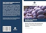 Beta-Carotin-Produktion durch rot pigmentierte Hefen: Carotinoide aus Hefen