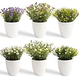 YVONNEYI 6 Stück Kunstpflanze Klein 16cm, Mini Kunstblumen im Topf, Künstliche Pflanzen für Office Wohnzimmer Schlafzimmer Badezimmer Küchen Zuhause Innen Deko